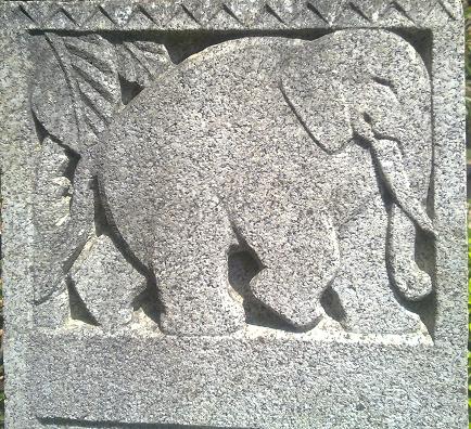 elephant